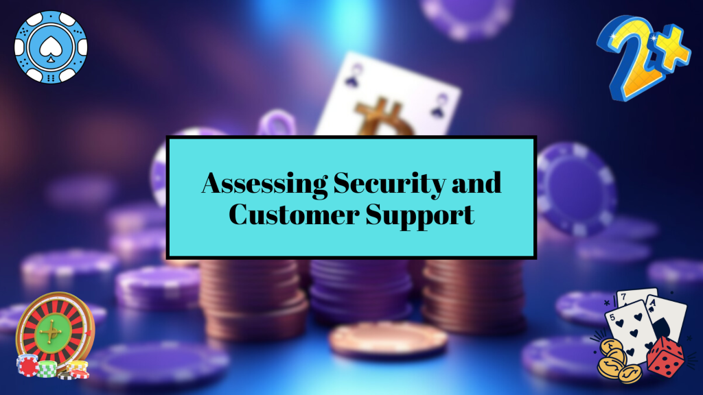Assessing Security and Customer Support
